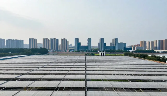 专业网页设计如何支持按区域查询企业名录